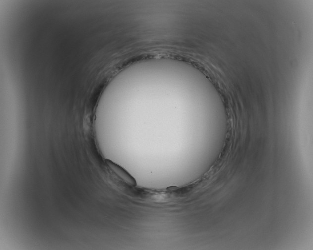 X0000111810611200907231017