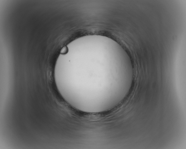 X0000111810615200907231017