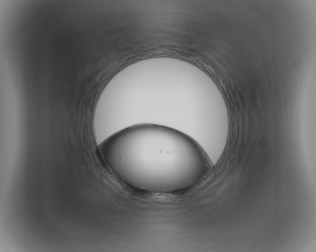 X0000111810617200907231017