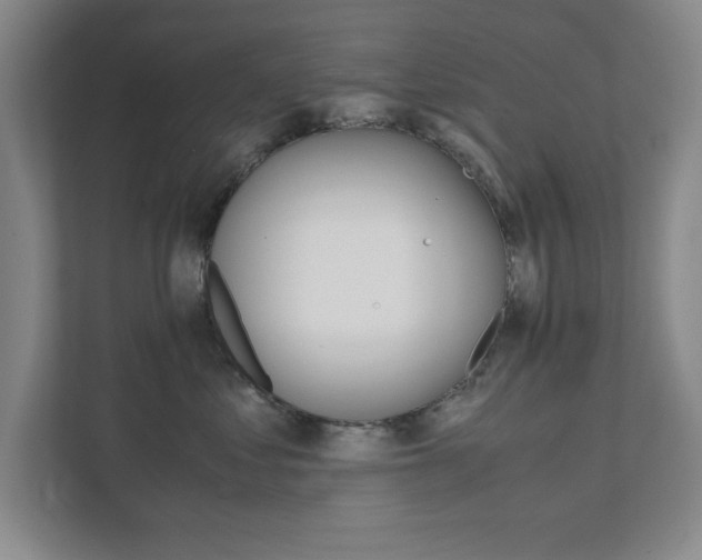 X0000111810621200907231017