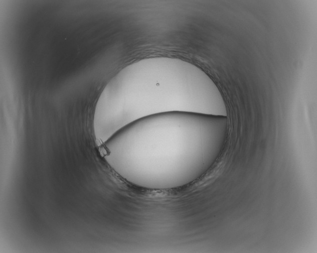 X0000111810624200907231017