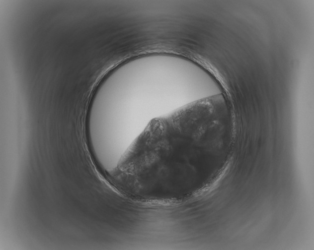 X0000111810625200907231016