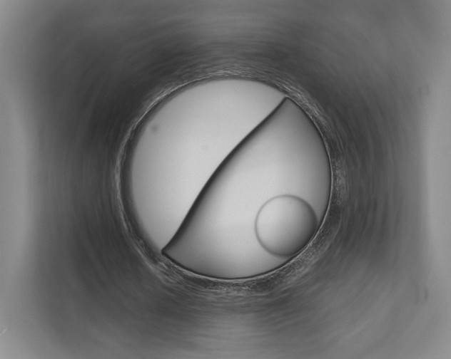 X0000111810626200907231016