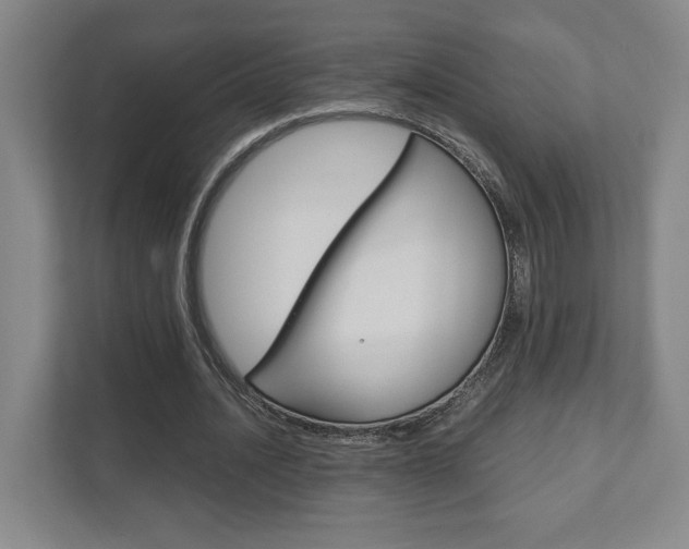 X0000111810628200907231016