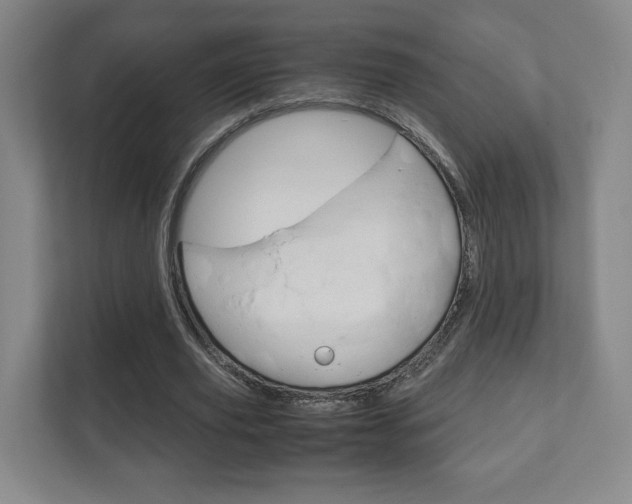 X0000111810629200907231016