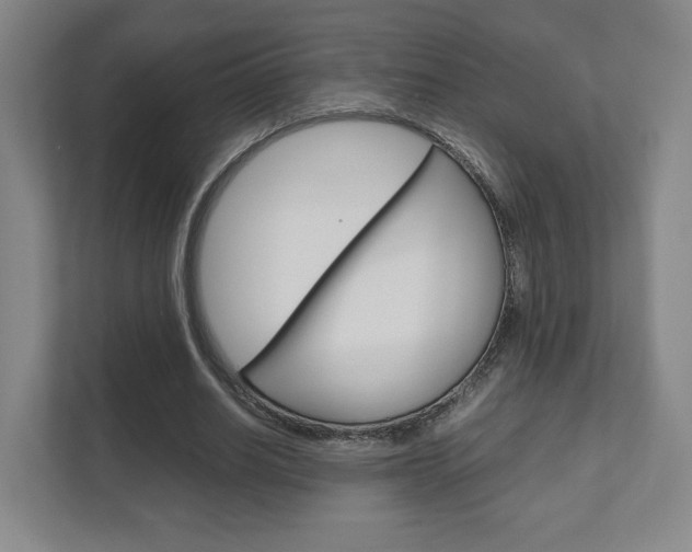 X0000111810630200907231016