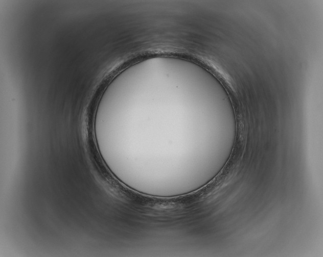 X0000111810631200907231016