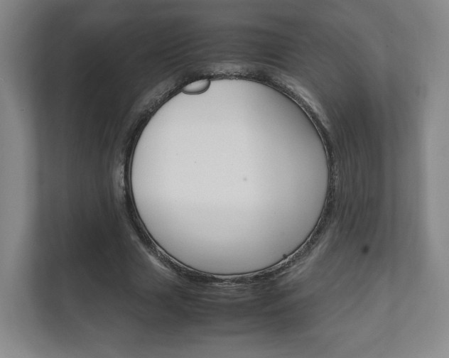 X0000111810633200907231016