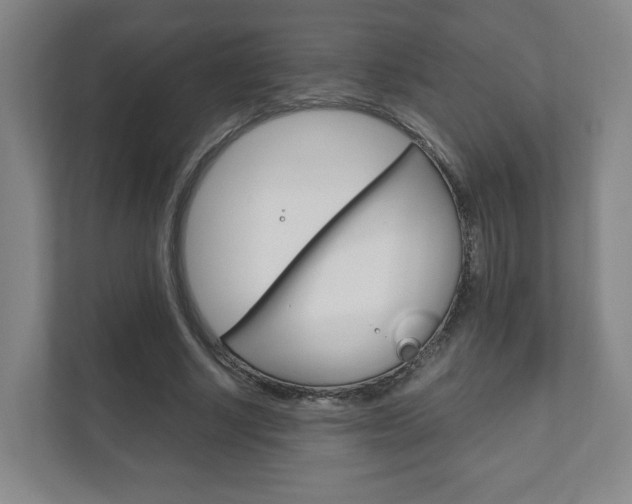 X0000111810634200907231016