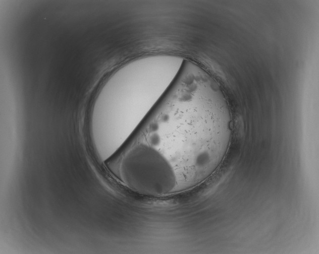 X0000111810638200907231016