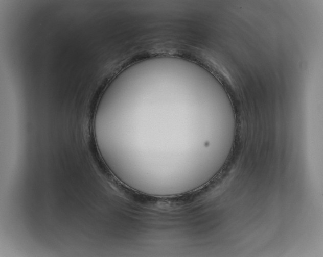 X0000111810641200907231017