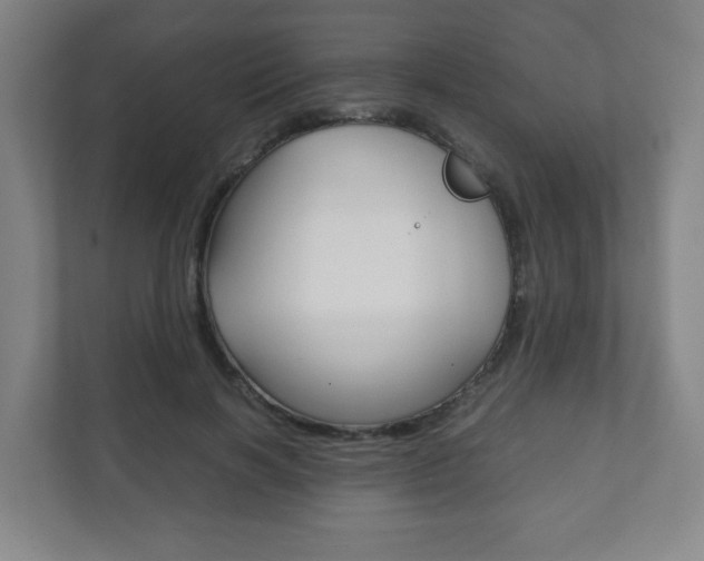 X0000111810646200907231017