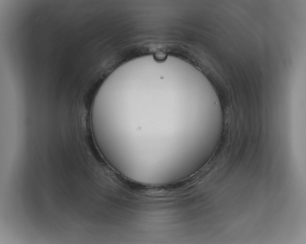 X0000111810650200907231017