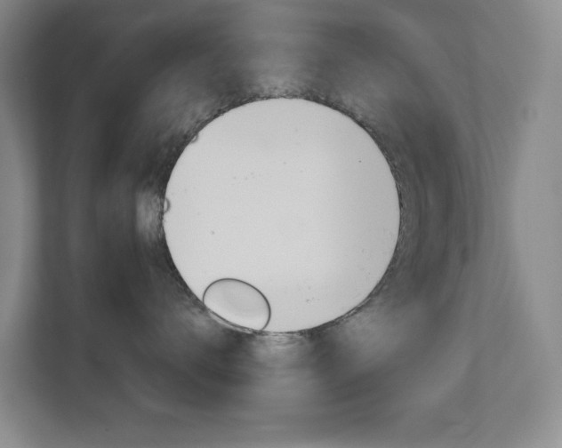 X0000111810672200907231017