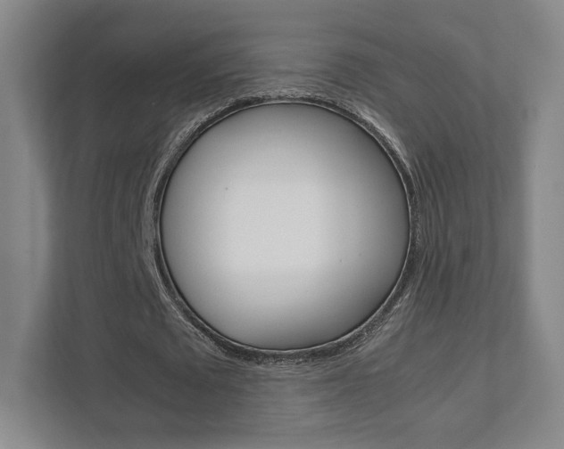 X0000111810673200907231016