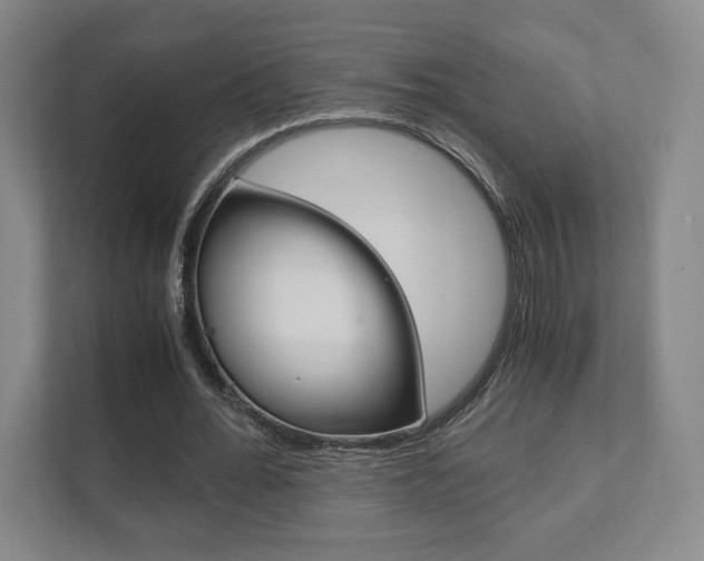 X0000111810676200907231016