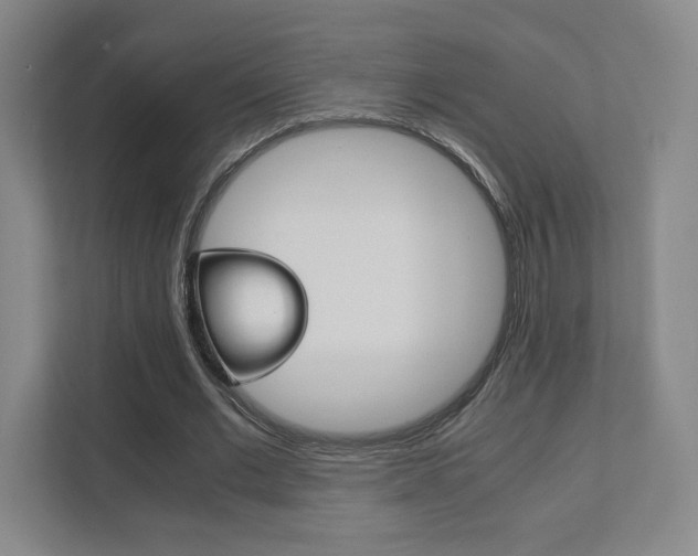 X0000111810677200907231016