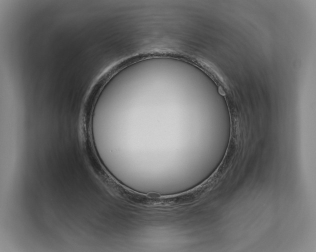X0000111810680200907231016