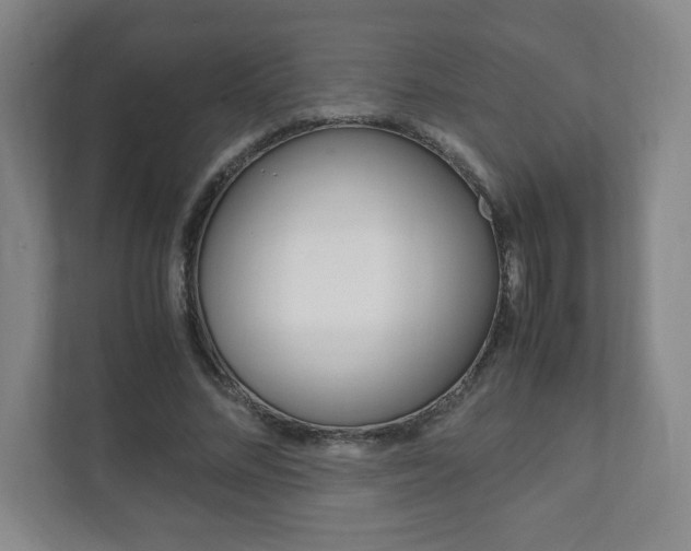 X0000111810684200907231016