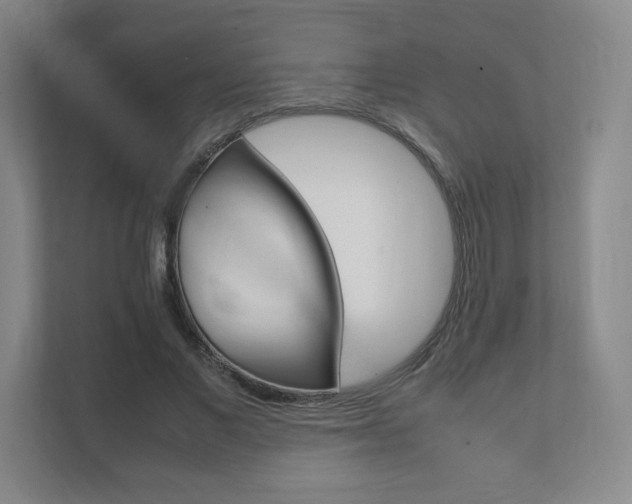 X0000111810685200907231016