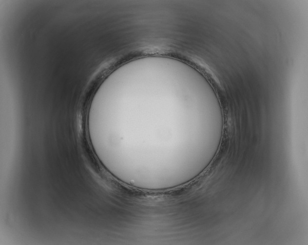 X0000111810686200907231016