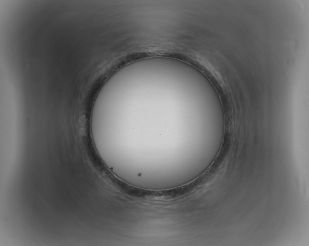 X0000111810689200907231016