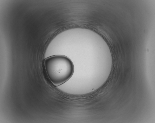 X0000111810693200907231016