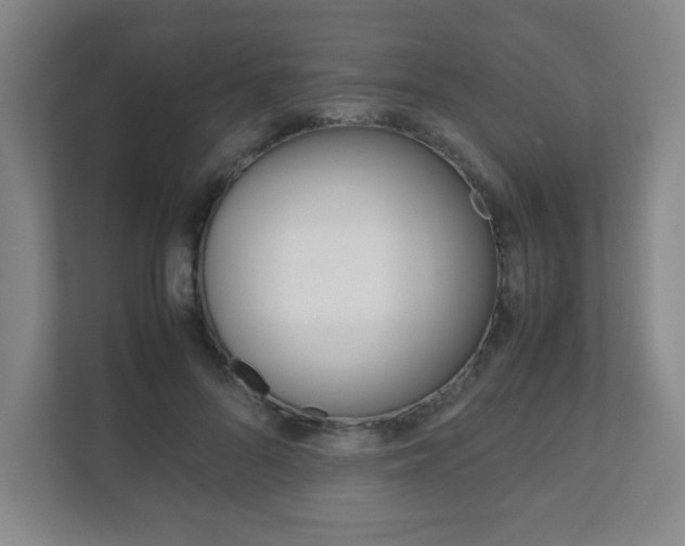 X0000111810696200907231016