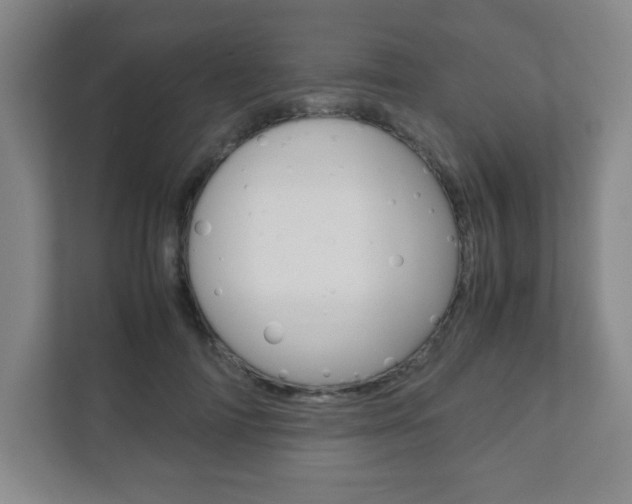 X0000111810698200907231016