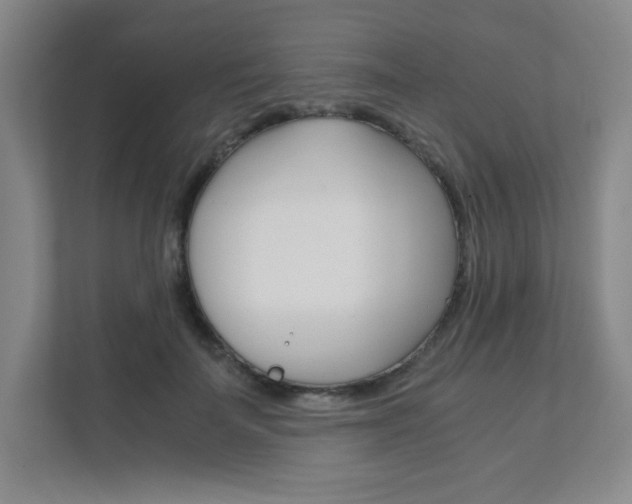 X0000111810699200907231016