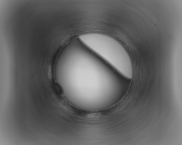 X0000111810700200907231016