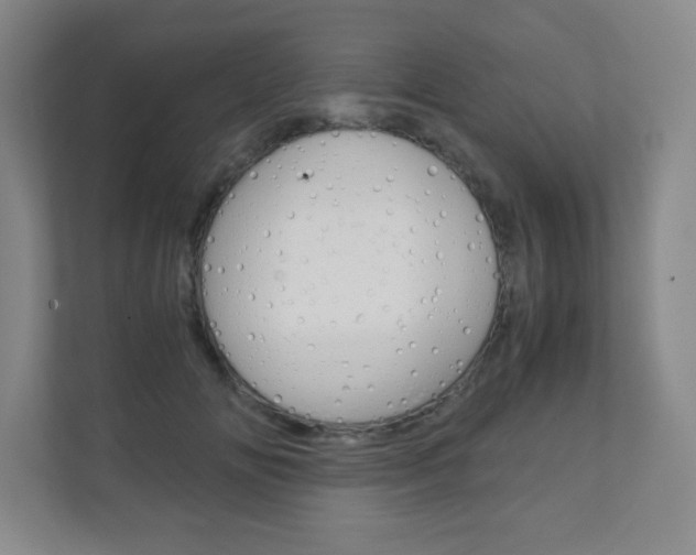 X0000111810702200907231016
