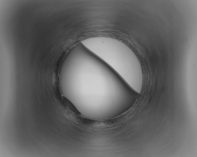 X0000111810704200907231016