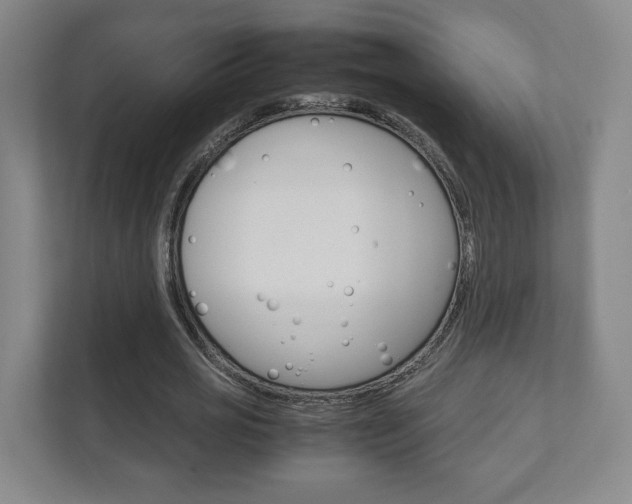 X0000111810725200907231015