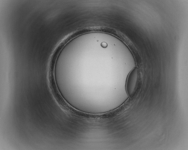 X0000111810728200907231015