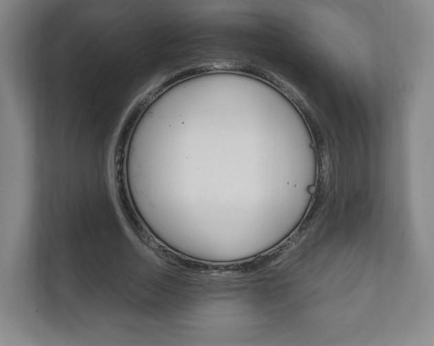 X0000111810730200907231015