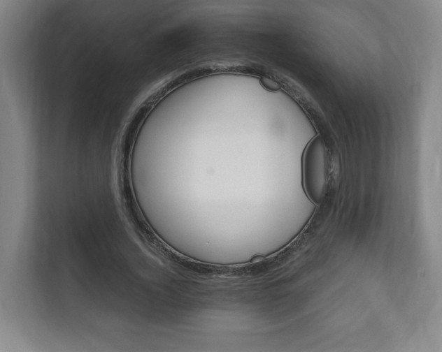 X0000111810732200907231015