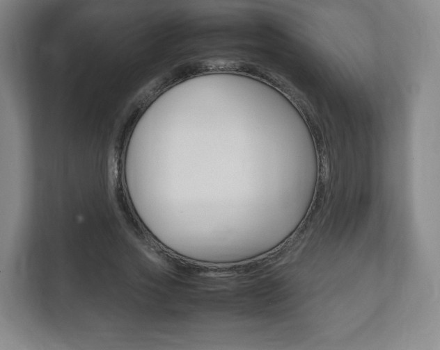 X0000111810733200907231015