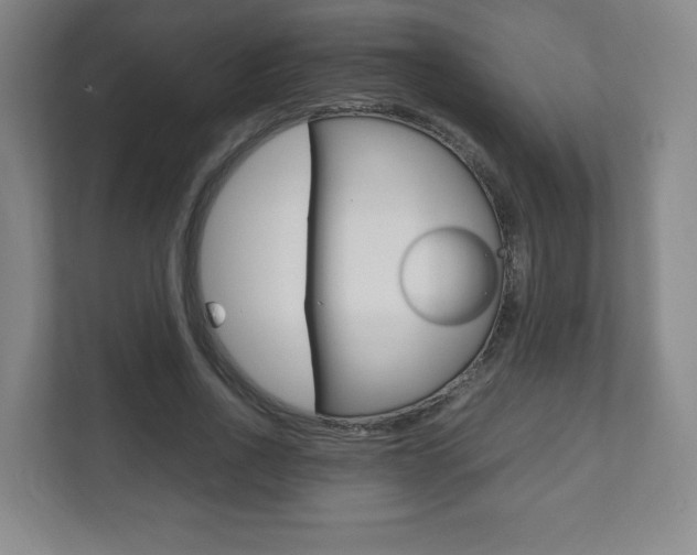 X0000111810734200907231015