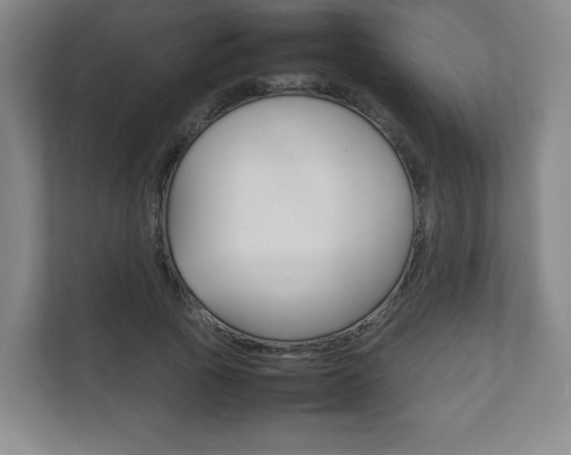 X0000111810737200907231015