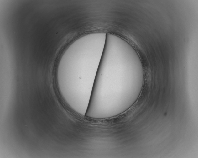 X0000111810738200907231015
