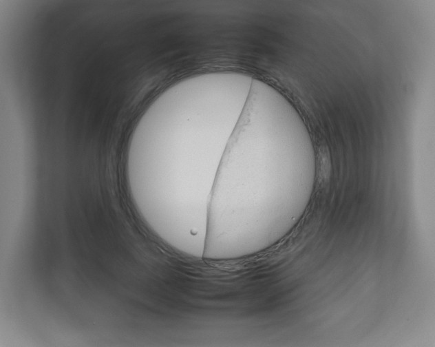 X0000111810739200907231015