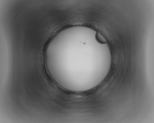 X0000111810743200907231015