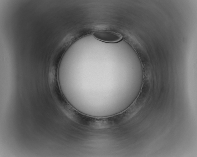 X0000111810744200907231015
