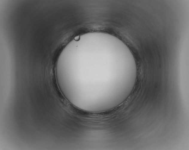 X0000111810746200907231015