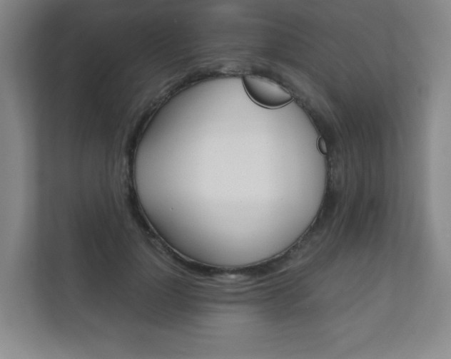 X0000111810748200907231015