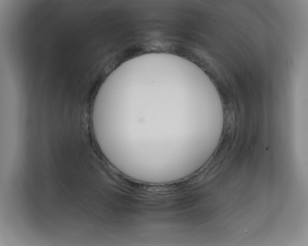 X0000111810749200907231015