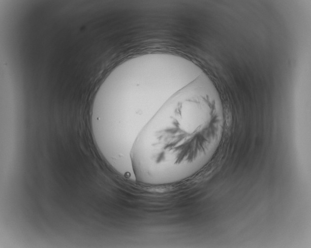 X0000111810751200907231015