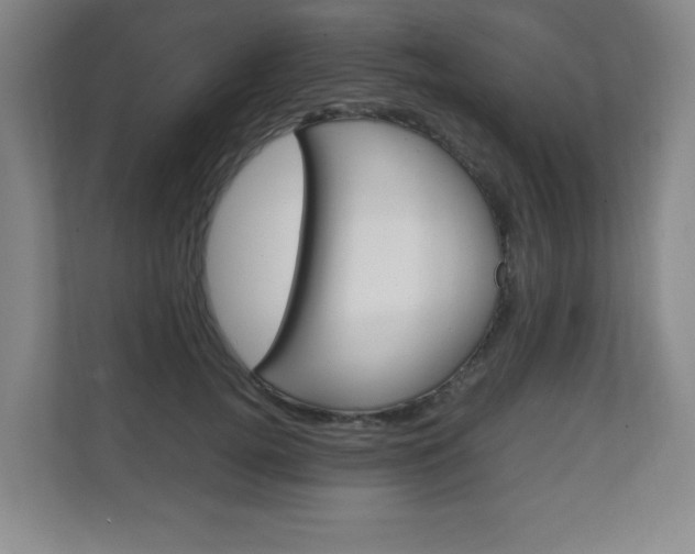 X0000111810752200907231015