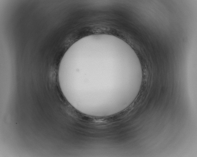 X0000111810753200907231015